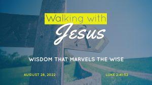 Walking with Jesus: Wisdom that Marvels the Wise - sermon by Dr. John L. Rothra