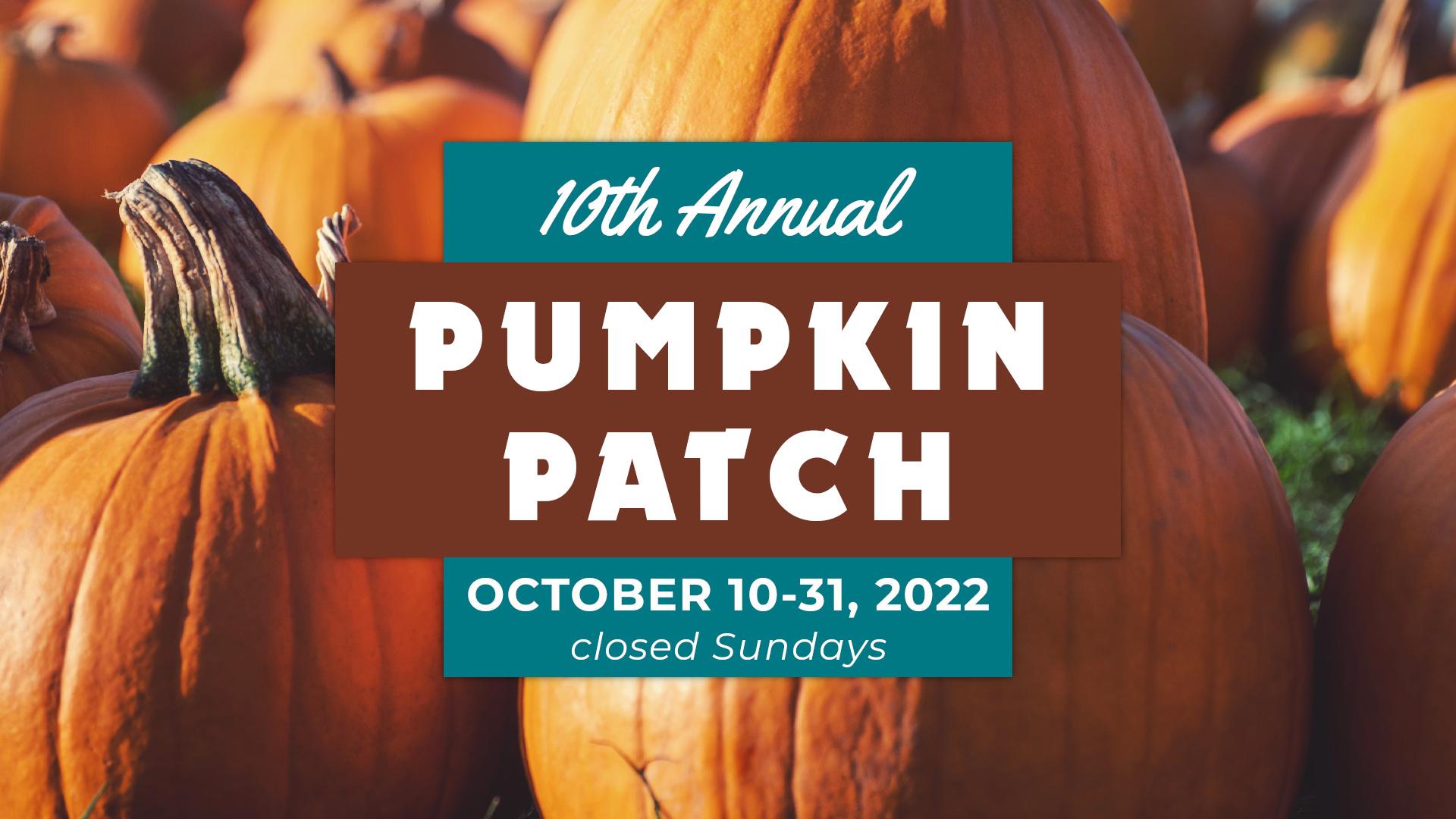 10th Annual Pumpkin Patch at Cornerstone Baptist on October 10-31