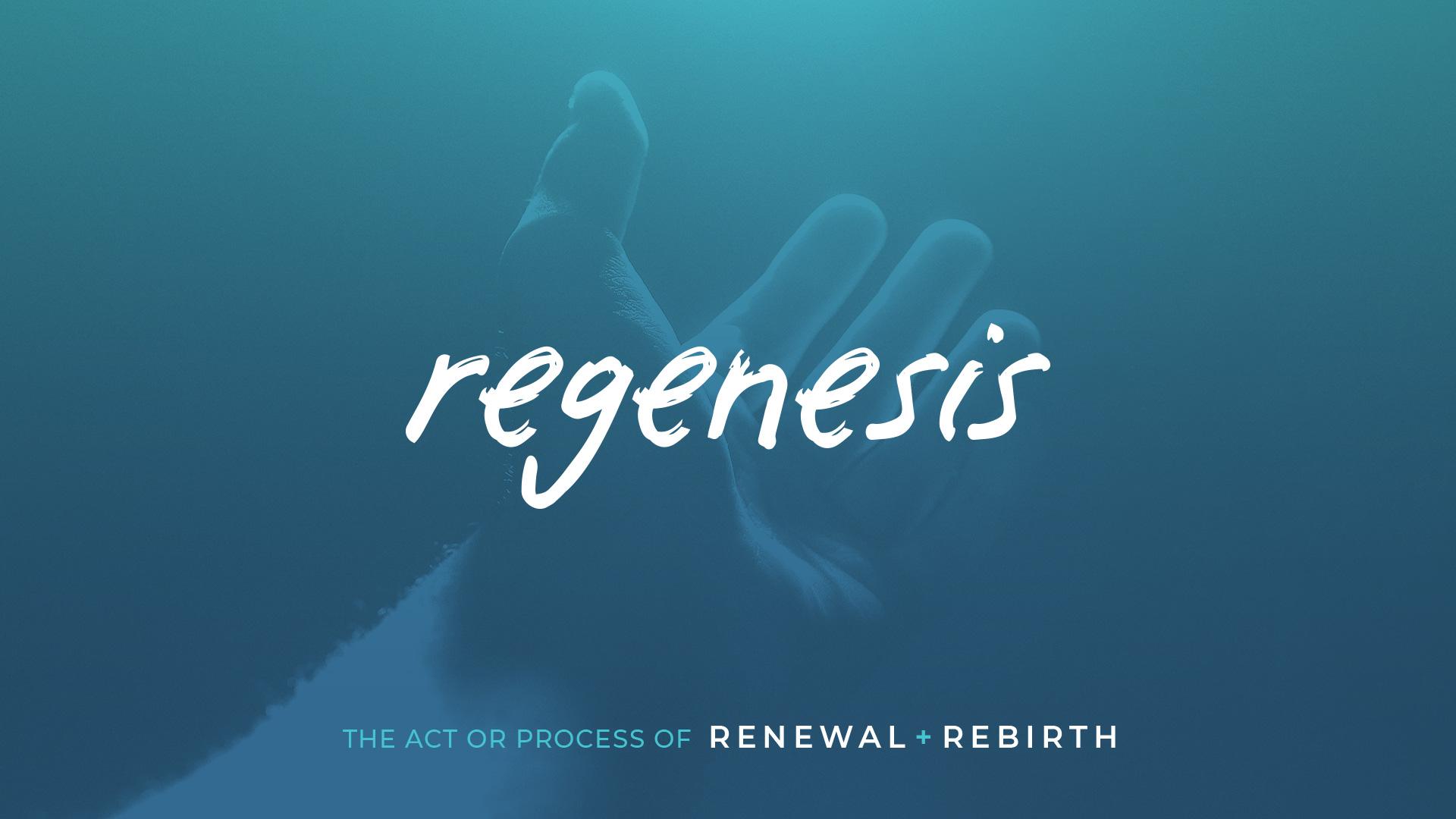Regenesis: revitalizing and renewing the church for God's kingdom mission and God's glory