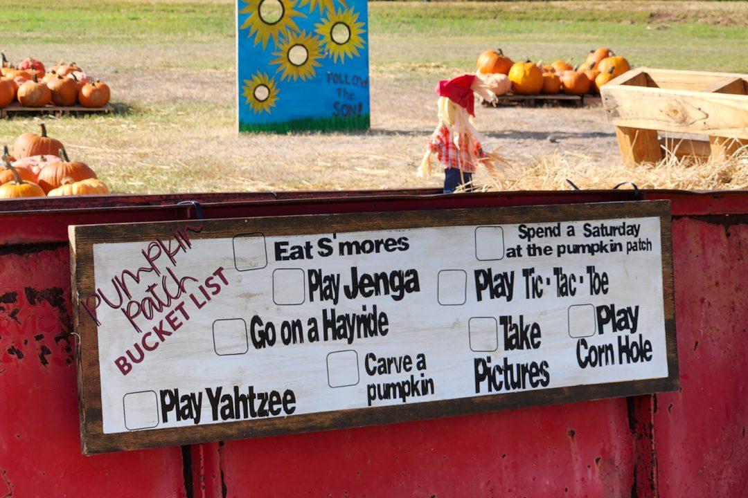 Pumpkin patch sign showing various family activities